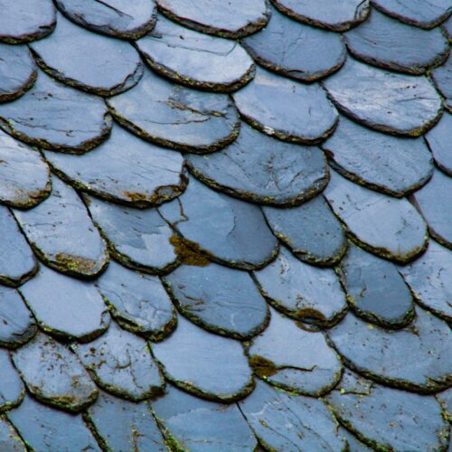 black shingle roofs